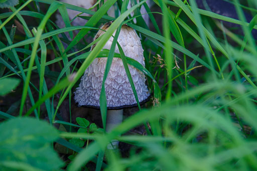 September 2018
 Hero