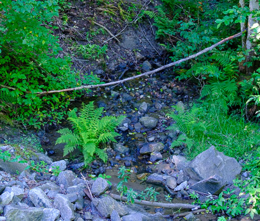 DSCF2388.jpg
