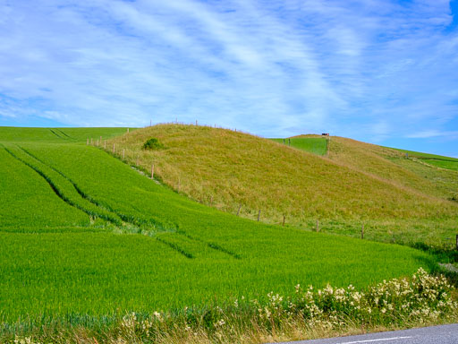 DSCF2406.jpg