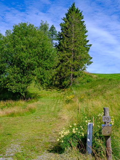 DSCF2410.jpg