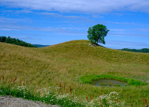 DSCF2414.jpg