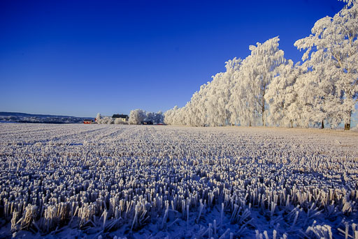 Frá ári til árs
 Hero