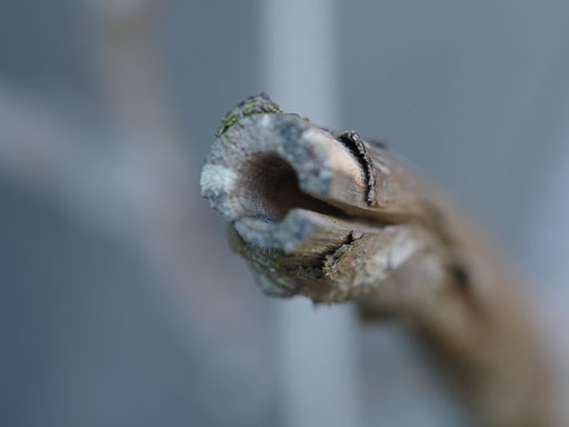 Frá ári til árs
 Hero