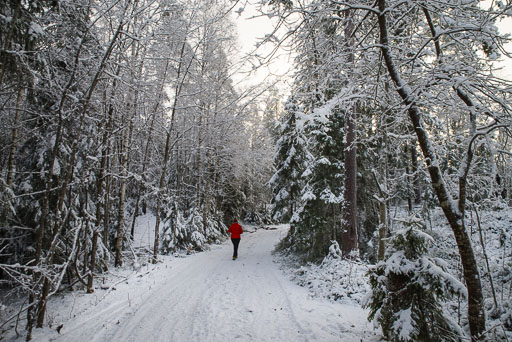 Frá ári til árs
 Hero