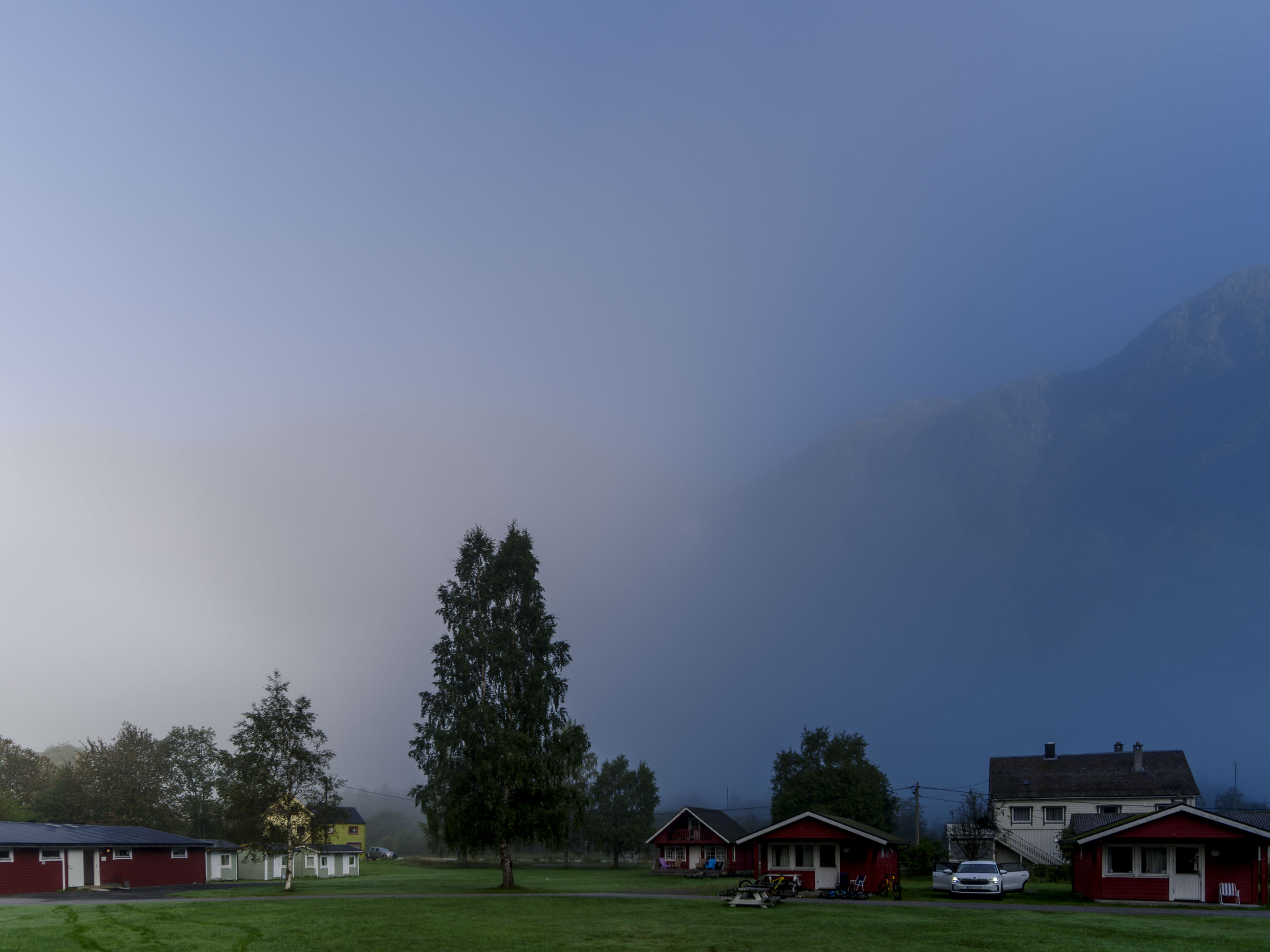 _IMG7907.jpg