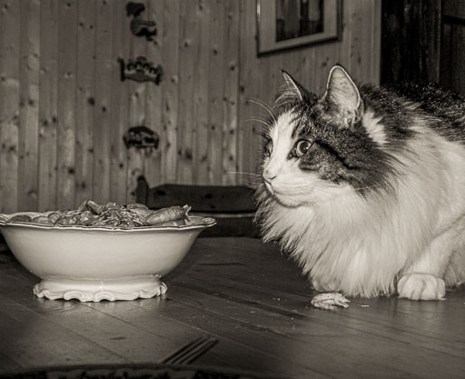 Albúm eftir árum
 Hero