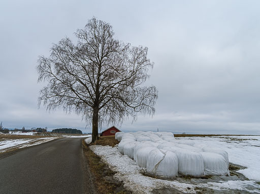 Albúm eftir árum
 Hero