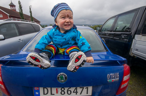 Leitarorð
 Hero