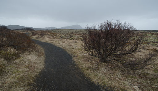 Gengið í Búrfellsgjá 5.04. 2025
 Hero