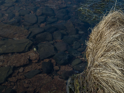 Við elliðavatn 28. mars 2025
 Hero