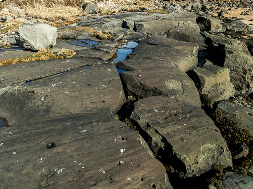 Nauthólsvík 29. mars 2025
 Hero