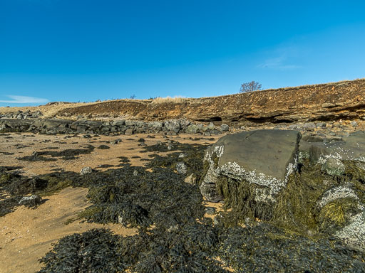 Nauthólsvík 29. mars 2025
 Hero