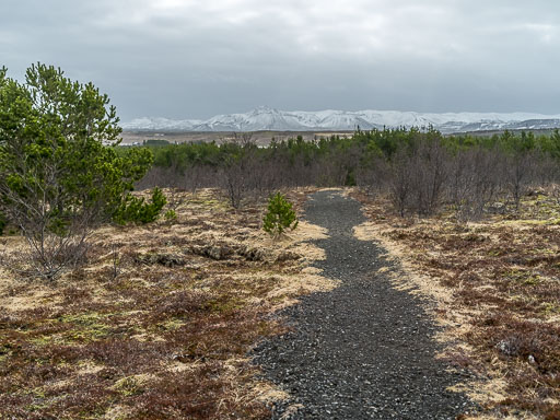 Gengið um grundir 31. Mars 2025
 Hero