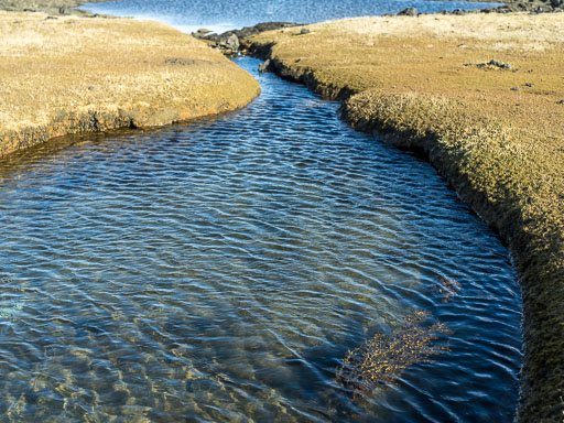 Gálgahraun 2.april 2025
 Hero