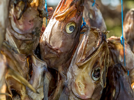 Ekið um víðan völl 3.Apríl 2025
 Hero