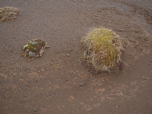 Gengið í Búrfellsgjá 5.04. 2025
 Hero