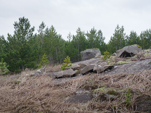 8. Apríl 2025
 Hero