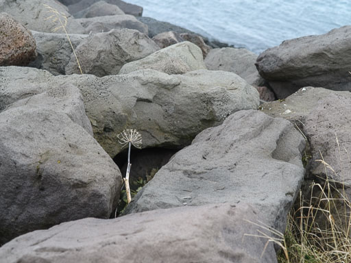 27. oktober 2025
 Hero